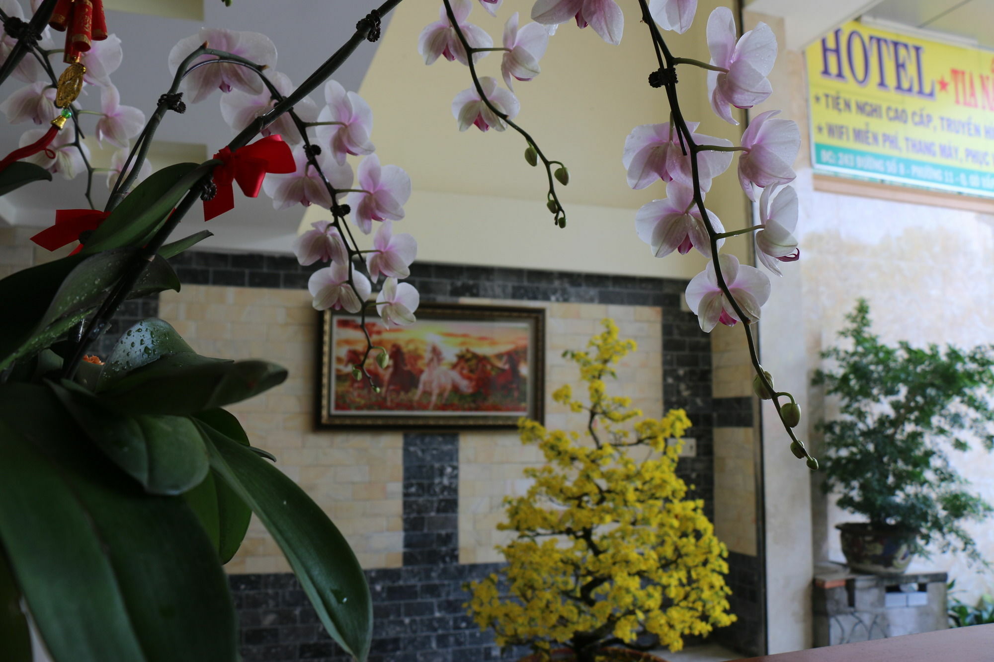 Hostel Tia Náng Hòng - Pink Sunbeam